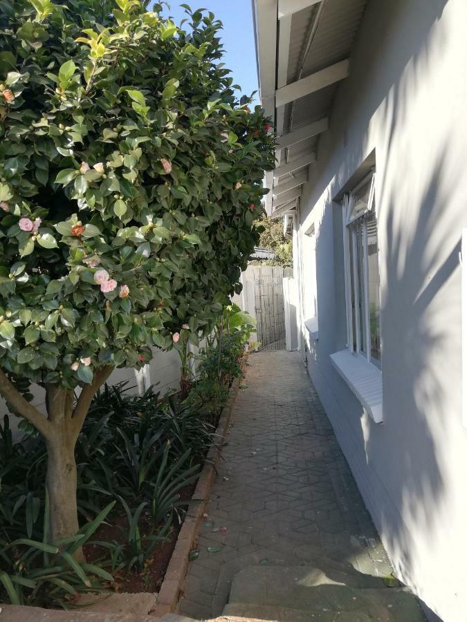 Willow Guest House Boksburg Buitenkant foto